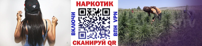 Какие есть наркотики Опочка Гашиш  А ПВП  Меф мяу мяу  НБОМе  Cocaine  Бошки Шишки 