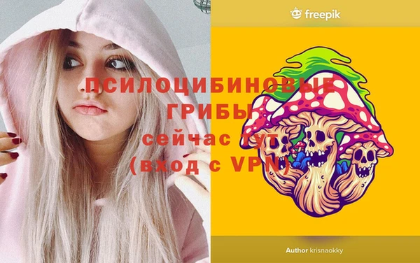 первитин Белоозёрский