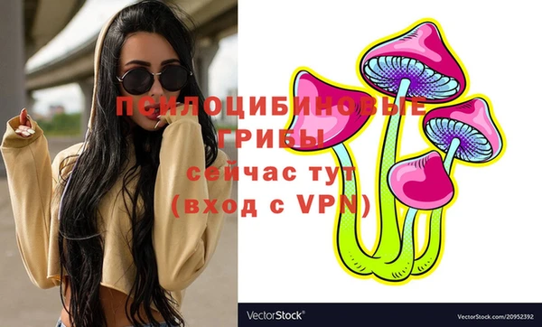 первитин Белоозёрский