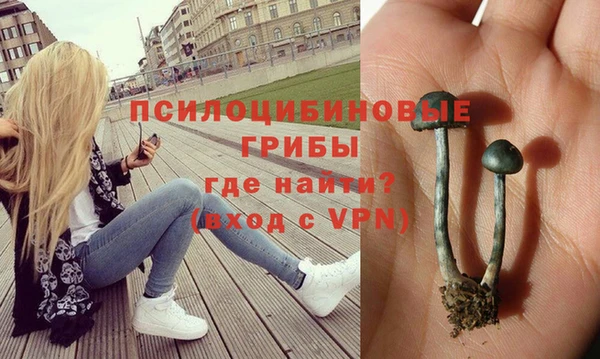 прущий лед Белокуриха