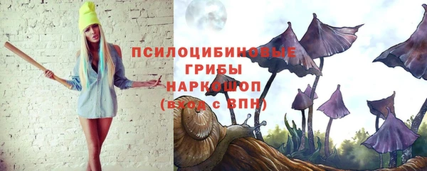 прущий лед Белокуриха